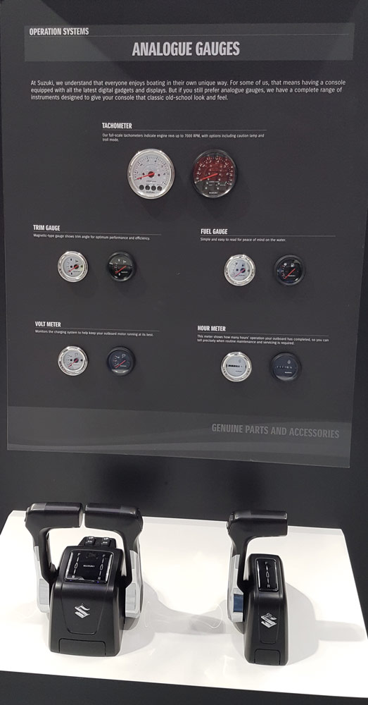 Multi- Function Gauge in either digital or analogue display mode